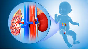 Pediatric Urology Treatment Services